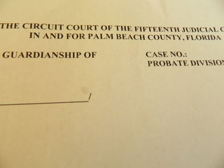 post about What are the Alternatives to Guardianship in Florida? (Florida Guardianship Law Section 744.331)