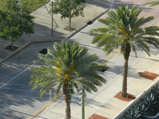 post about International and Out of State Personal Reps May be Untouchable by Florida Courts for Misdeeds
