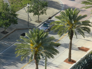 post about What does a visit with the doctor have to do with a petition for guardianship? Learn more before you petition the Court for guardianship in West Palm Beach!