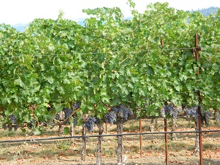 post about Are you considering bringing a wrongful death or medical malpractice action in West Palm Beach? Know the “pre-suit requirements” or you could end up back at the drawing board.