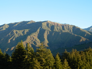 post about Florida Case On Undue Influence, Man’s 4th Wife Attempts To Take Everything Under An Invalid Will.