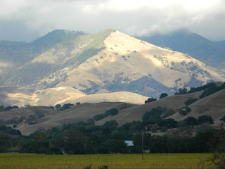 post about Florida Trustees Cannot be Removed Without Notice and Due Process