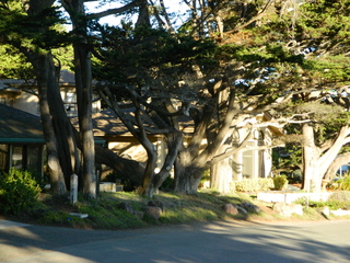 post about Mother v. Son: Bourbon Lawsuit After Company Sold to Bacardi Limited