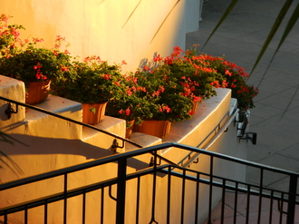 West Palm Beach Tortious Interference with Inheritance post about West Palm Beach Tortious Interference with Inheritance