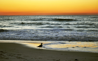post about How can taxes affect my estate and probate in Florida?