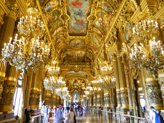 post about What is an Insane Delusion? West Palm Beach Will Contests.