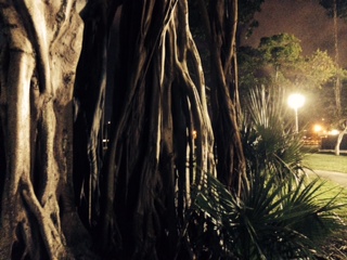 post about NEW ! 2015 Florida Probate Case : LLC Property Can Pass Outside of Probate, what about Death Beneficiary ?