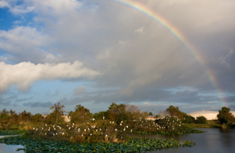 post about Judge Hinkle orders Florida county clerks to issue same-sex marriage licenses