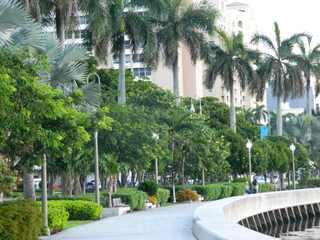 post about Considering Bringing an Action for Elder Abuse? You May Want to Start by Reading Fla. Stat. 825.102.