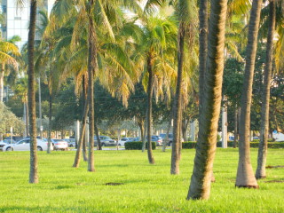 post about Florida Probate Litigation: can you set aside a judgment or order if you lose? — the Miami Dade County blueprint?