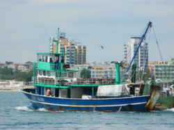 DEFENDING THE PALM BEACH ESTATE from fishing expeditions post about DEFENDING THE PALM BEACH ESTATE from fishing expeditions