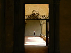post about PALM BEACH PROBATE LAWSUITS: what does yours look like?