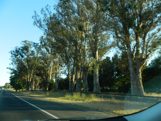 post about How Do Probate Courts in Florida Determine What is and What is Not Probate Estate Property?