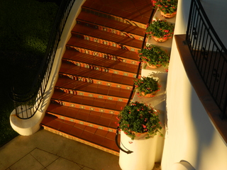 post about Learn Why Ever Probate Lawyer in Florida Should Read Florida Rule of Appellate Procedure 9.200(b)(4)