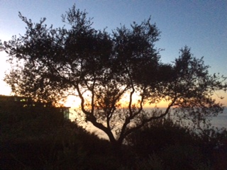 post about What do Florida Estate Lawyers Need to Know About Contempt Proceedings?