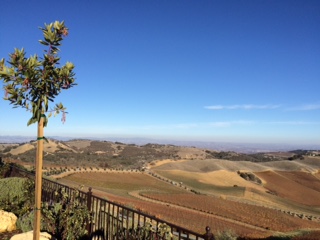 post about Can the Personal Representative in Florida Sell Real Estate Without a Court Order?