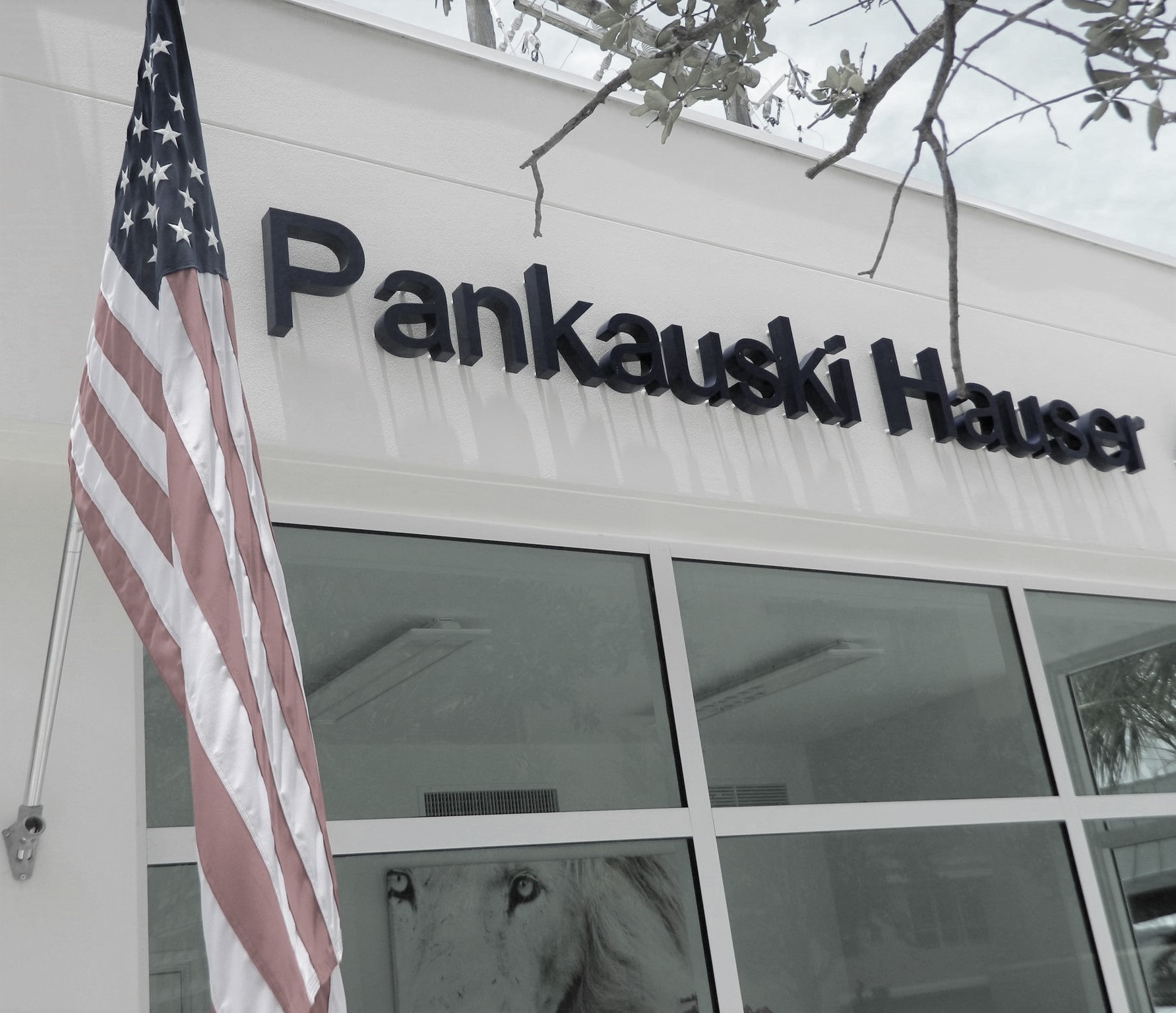 What is declaratory relief in Florida trusts and estates?